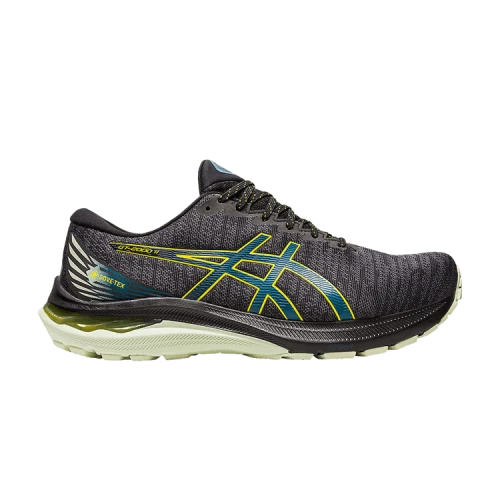 ASICS GT-2000 11 Gore-Tex Black Ink Teal