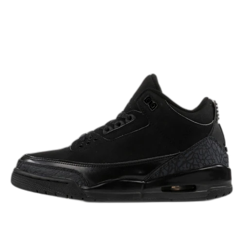 Jordan 3 Retro Black Cat (2007)