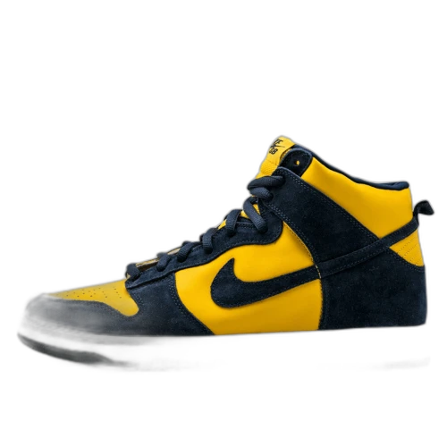 Nike SB Dunk High Pro Michigan (2005)