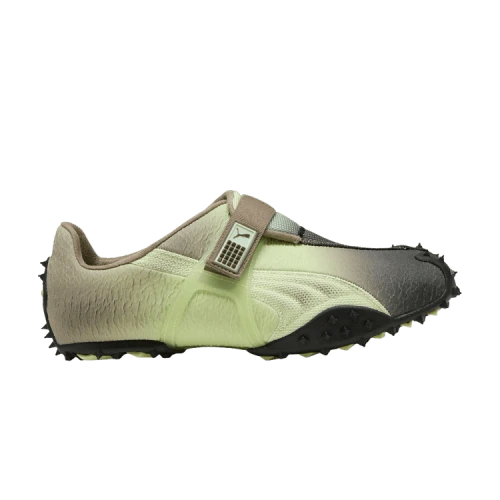Puma RPT-2 Biology Experiment Wabi-Sabi