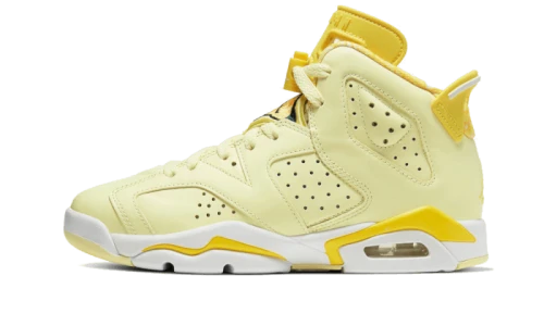 Jordan 6 Retro Dynamic Yellow Floral (GS)