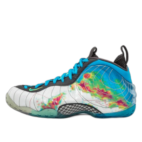 Nike Air Foamposite One Weatherman