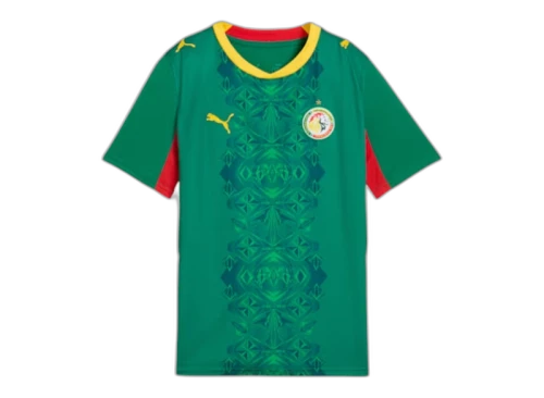 Puma Senegal Away Big Kids' Jersey Wild Green/PUMA Red