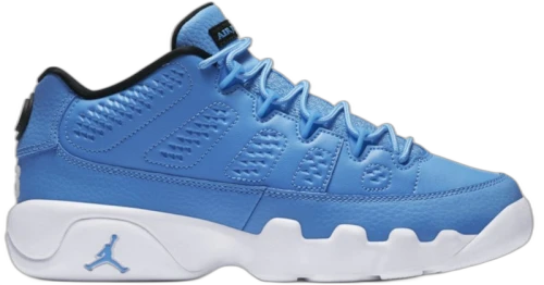 Jordan 9 Retro Low Pantone (GS)