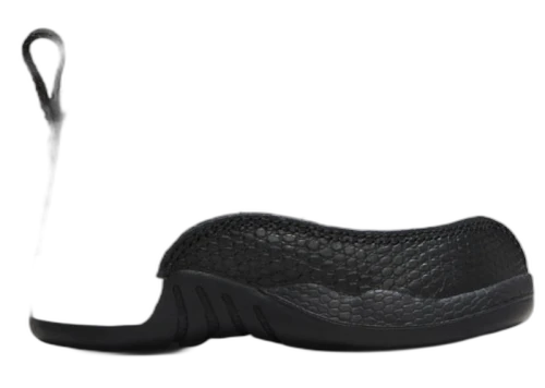 Jordan 12 Retro Taxi Flip (TD)