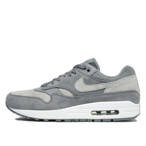 Nike Air Max 1 Cool Grey Wolf Grey