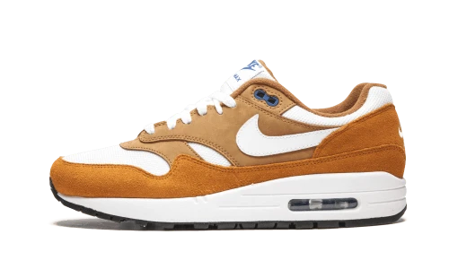 Nike Air Max 1 Curry (2018)