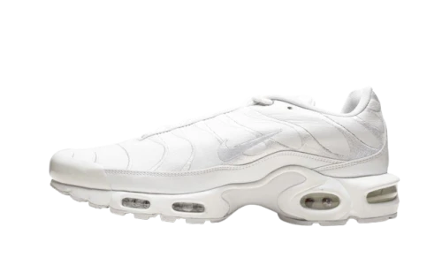 Nike Air Max Plus Triple Black Leather