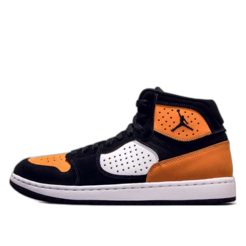 Jordan Access Shattered Backboard