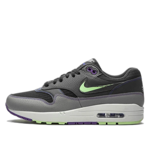 Nike Air Max 1 Future Swoosh Pack