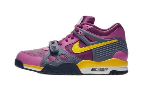 Nike Air Trainer 3 Viotech (2020)