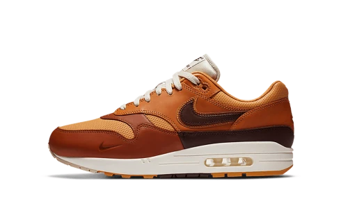Nike Air Max 1 SNKRS Day Brown