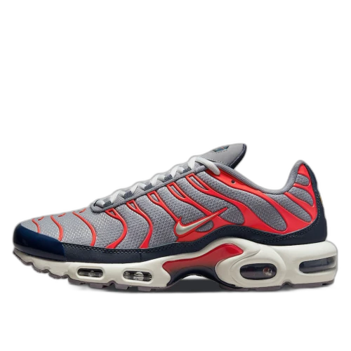 Nike Air Max Plus USA Grey