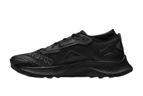 Nike Pegasus Trail 3 Gore-Tex Black Dark Smoke Grey