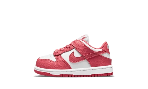 Nike Dunk Low White Gypsy Rose (TD)