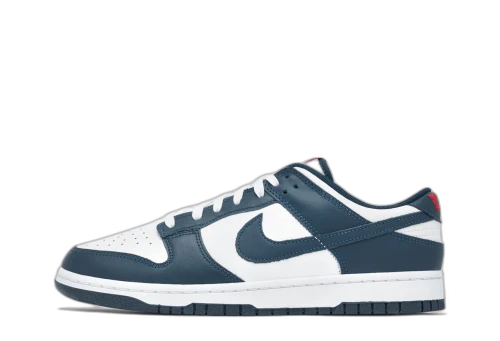 Nike Dunk Low Valerian Blue