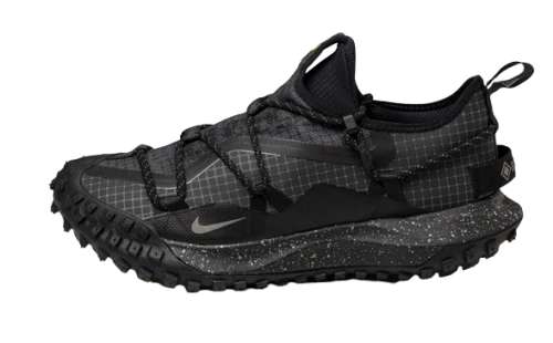 Nike ACG Mountain Fly Low Gore-Tex SE Dark Smoke Grey