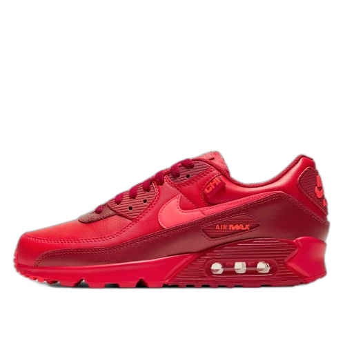Nike Air Max 90 City Special Chicago