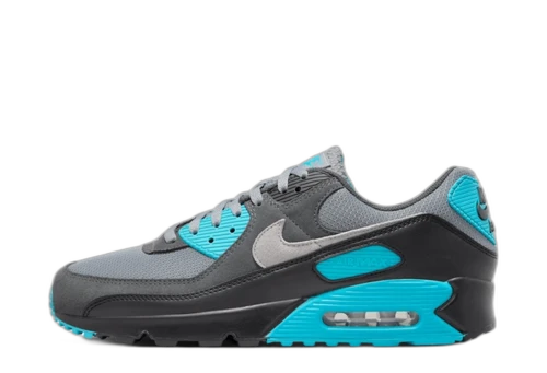Nike Air Max 90 Cool Grey Dusty Cactus Black Wolf Grey