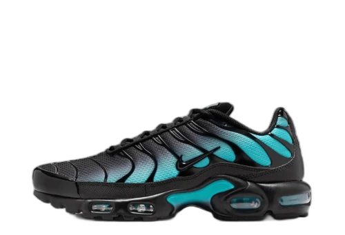 Nike Air Max Plus Black Dusty Cactus