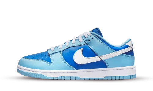 Nike Dunk Low Retro QS Argon (2022)