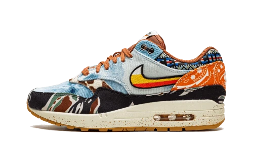 Nike Air Max 1 SP Concepts Heavy
