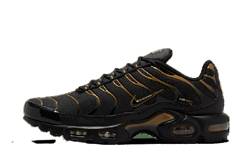 Nike Air Max Plus Cordura Black