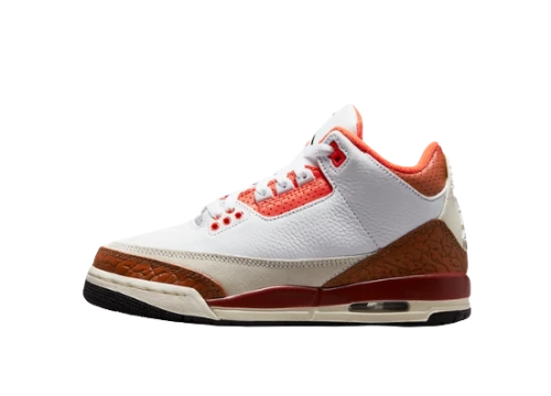 Jordan 3 Retro SE Dunk on Mars (GS)