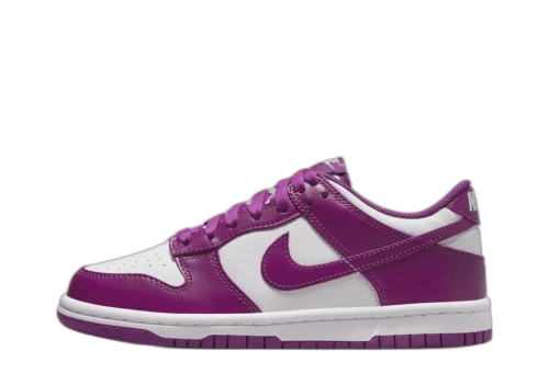 Nike Dunk Low Viotech (GS)