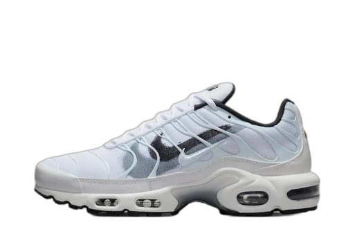 Nike Air Max Terrascape Plus Spray Paint Swoosh