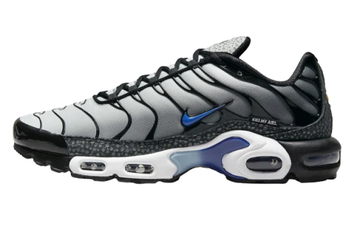 Nike Air Max Plus Kiss My Airs Metallic Silver