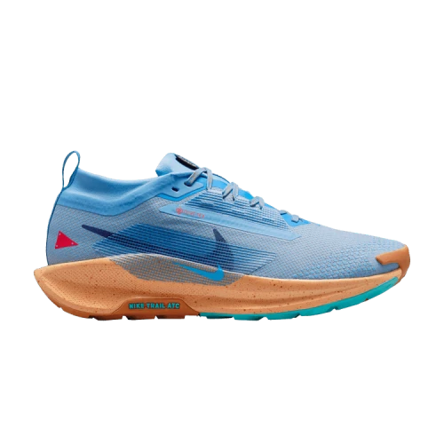 Nike Pegasus Trail 5 Gore-Tex Blue Beyond Copper Moon Monarch Blue Void