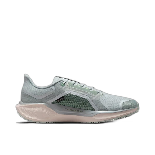 Nike Air Zoom Pegasus 41 Gore-Tex Light Pumice Metallic Silver