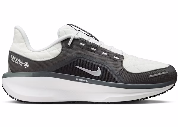 Nike Winflo 11 Gore-Tex Anthracite Black Photon Dust Metallic Silver