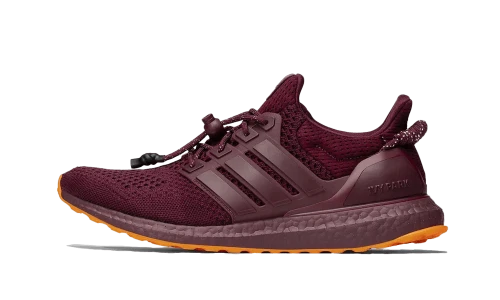 adidas Ultra Boost Beyonce Ivy Park