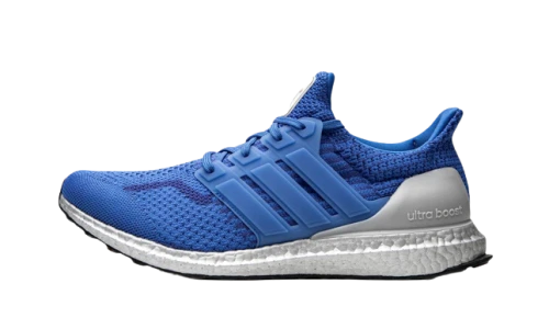 adidas Ultra Boost 5.0 DNA NASA Football Blue