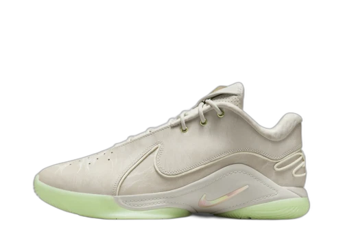 Nike LeBron 22 Dunkman