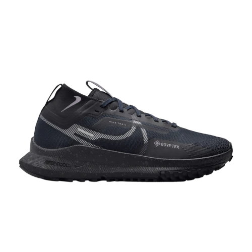 Nike Pegasus Trail 4 Gore-Tex Dark Obsidian Metallic Silver (Women's)