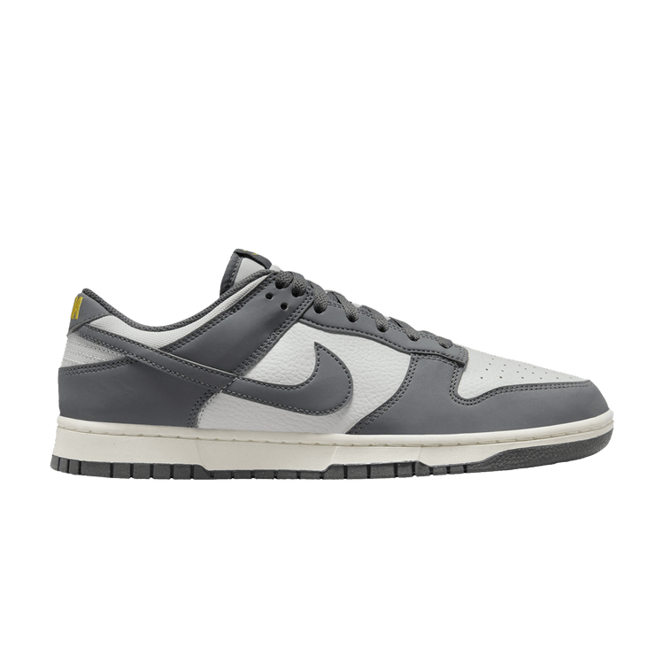 Nike Dunk Low Next Nature Iron Grey Lightning