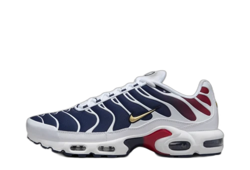 Nike Air Max Plus PSG