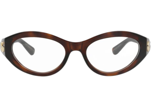 Gucci Cat Eye-Frame Injection Optical Frames Havana Havana Transparent (GG1405O-30014413-002)