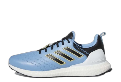 adidas Ultra Boost DNA Copa World Cup Argentina