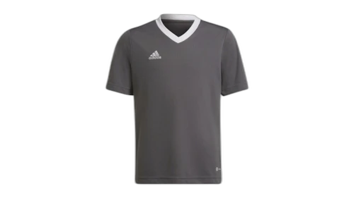 adidas Kids Entrada 22 Jersey Team Grey Four