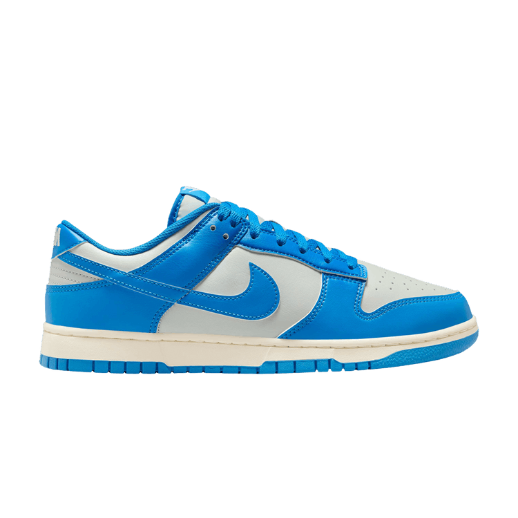 Nike Dunk Low Detroit Lions