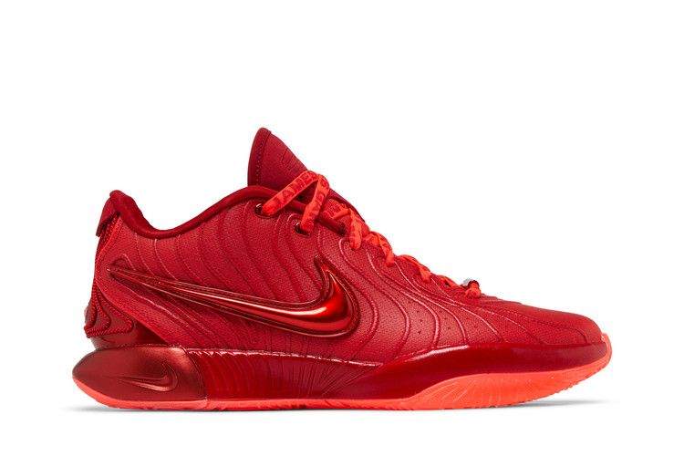 Nike LeBron 21 James Gang