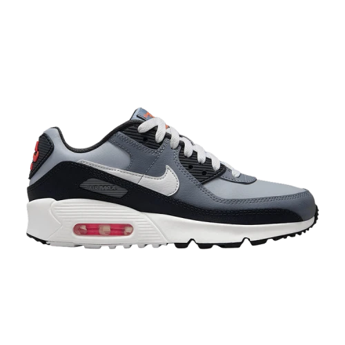 Nike Air Max 90 Wolf Grey Cool Grey Anthracite White (GS)