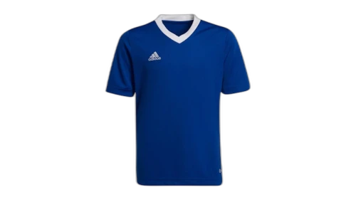 adidas Kids Entrada 22 Jersey Royal Blue