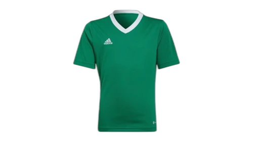 adidas Kids Entrada 22 Jersey Team Green/White