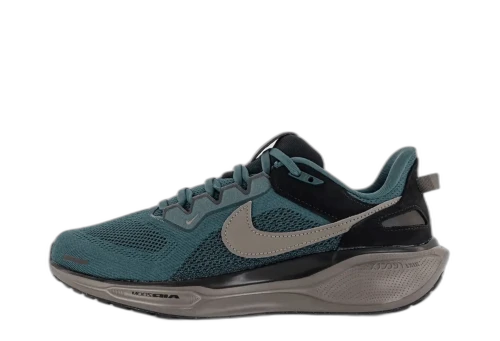 Nike Air Zoom Pegasus 41 SP Faded Spruce