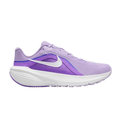 Nike Downshifter 14 Violet Mist Sapphire (Women's)